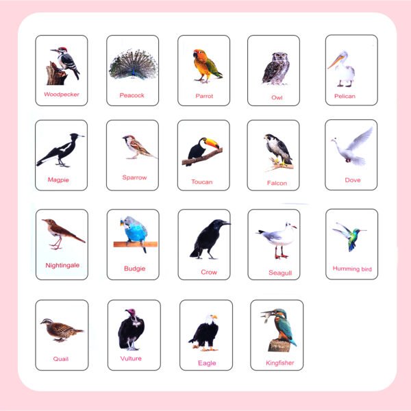 Combo - Birds, Insects, Flowers, Domestic & Wild Animals Flashcards - Image 2