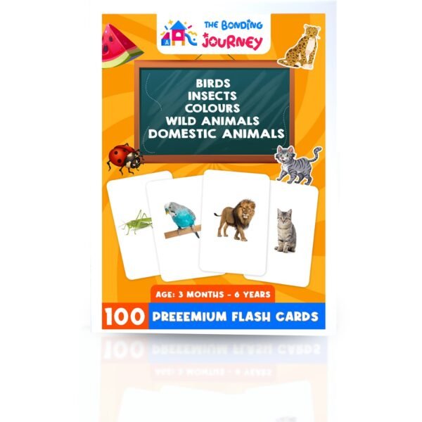 Combo - Birds, Insects, Colours, Domestic & Wild Animals Flashcards