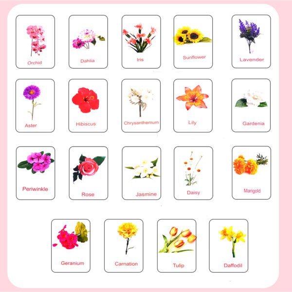 Combo - Birds, Insects, Flowers, Domestic & Wild Animals Flashcards - Image 4