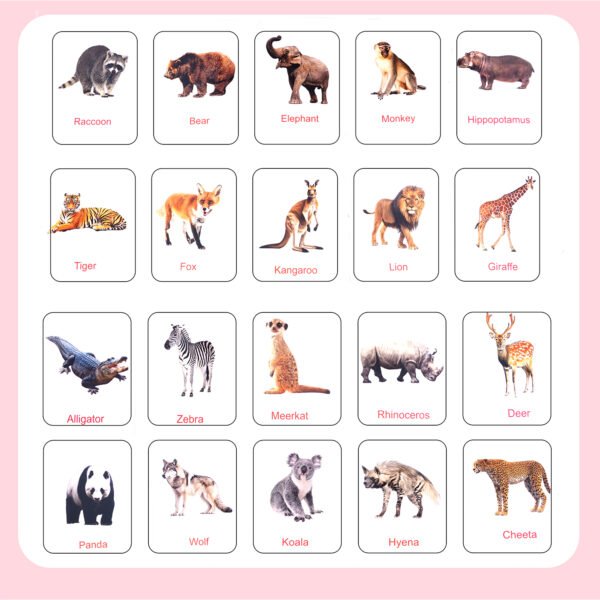 Combo - Birds, Insects, Colours, Domestic & Wild Animals Flashcards - Image 6